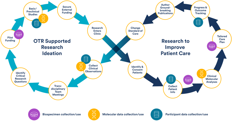 Our Efforts - Translational Research Lifecycle