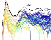 Viral evolution