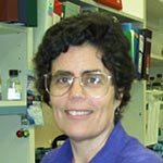 Nancy M. Hollingsworth, Ph.D.
