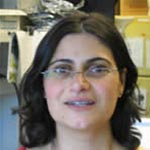 Neta Milman, Ph.D.