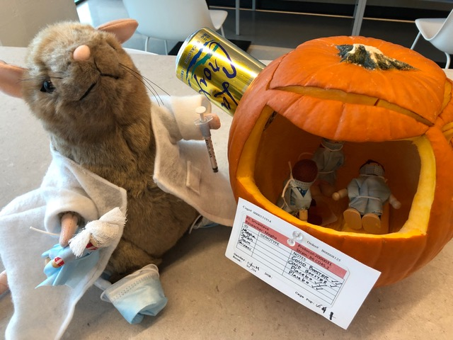 2021 pumpkin contest