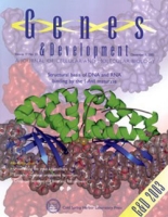 Structural and biochemical analyses of DNA and RNA binding by a bifunctional homing endonuclease and group I intron splicing factor, Genes & Development