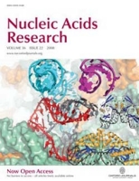 Recognition of a common rDNA target site by analogous archael LAGLIDADG and eukaryal His-Cys box homing endonucleases isoschizomers, Nucleic Acids Research