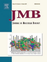 Coevolution of homing endonuclease specificity and its host target sequence, Journal of Molecular Biology