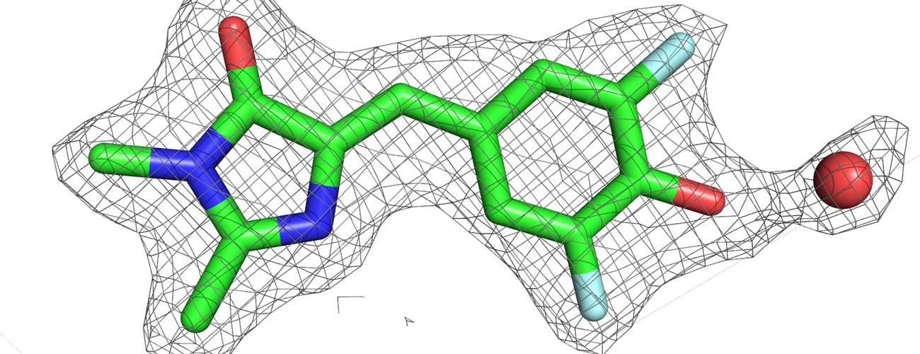 Bound DFHBI in electron density coordinating water