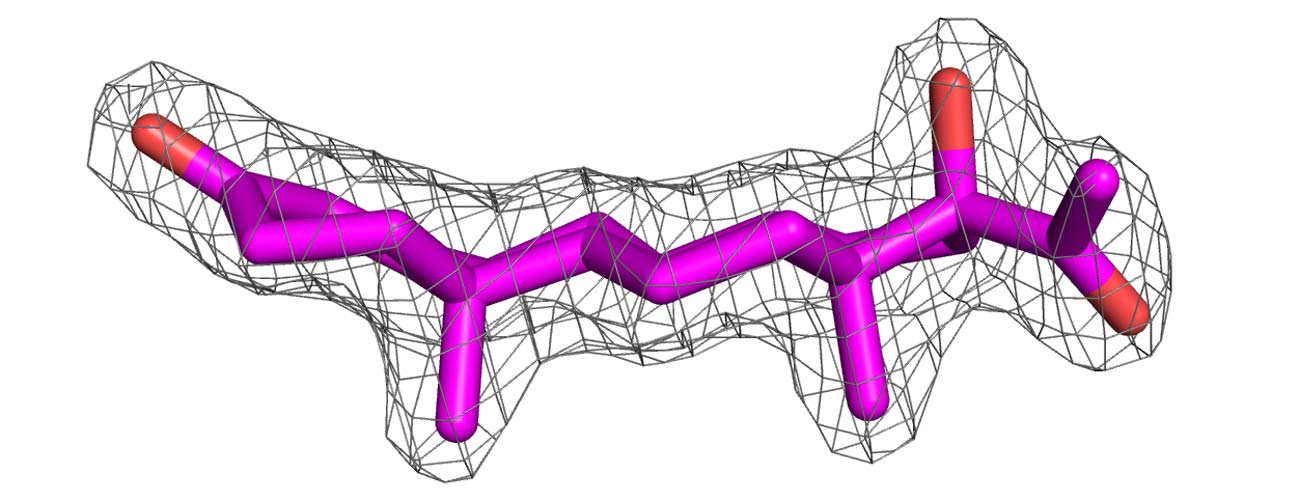 17α-hydroxylprogesterone in electron density