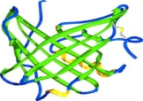 Goetz.Biochemistry.2000