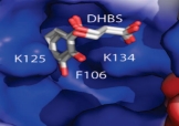 Abergel.JACS.2008