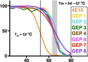 Ontogeny of recognition specificity and functionality for the broadly neutralizing anti-HIV antibody 4E10