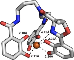 Siderocalin outwits the coordination chemistry of vibriobactin, a siderophore of Vibrio cholerae