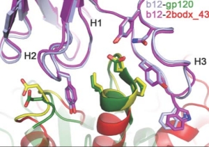 Computation-guided backbone grafting of a discontinuous motif onto a protein scaffold