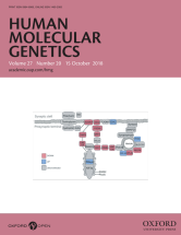 Human Molecular Genetics cover