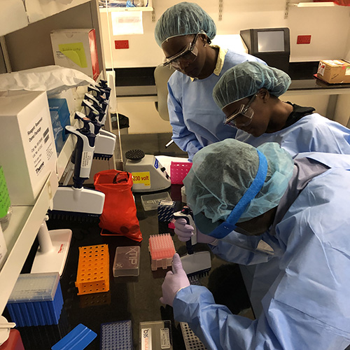 Working in the lab