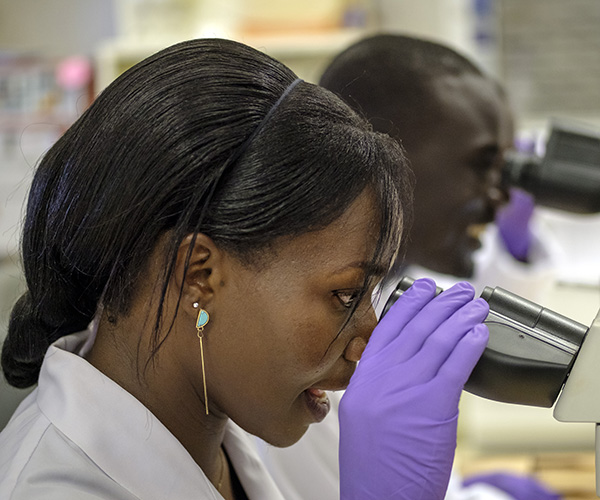 Working in the lab