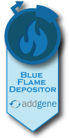 Blue flame