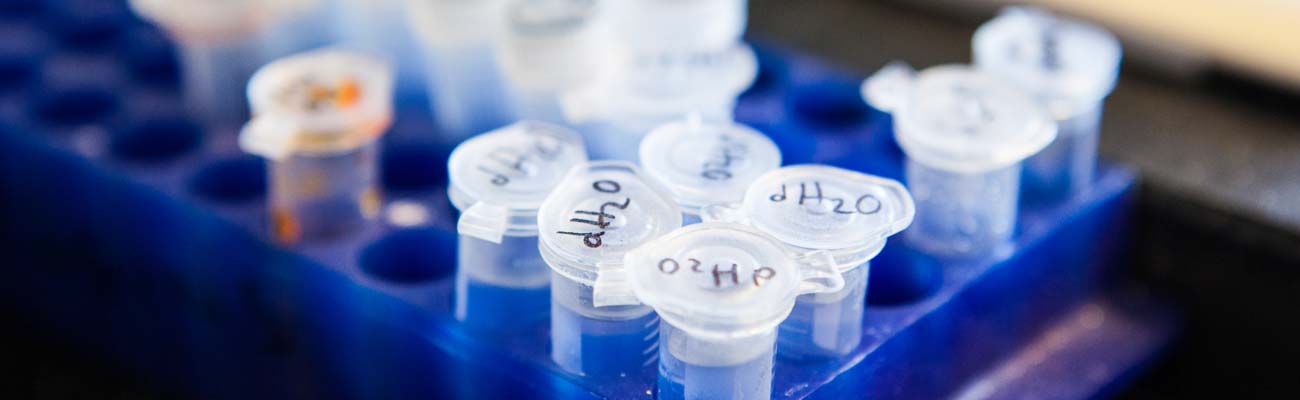 Closeup of vials in a lab