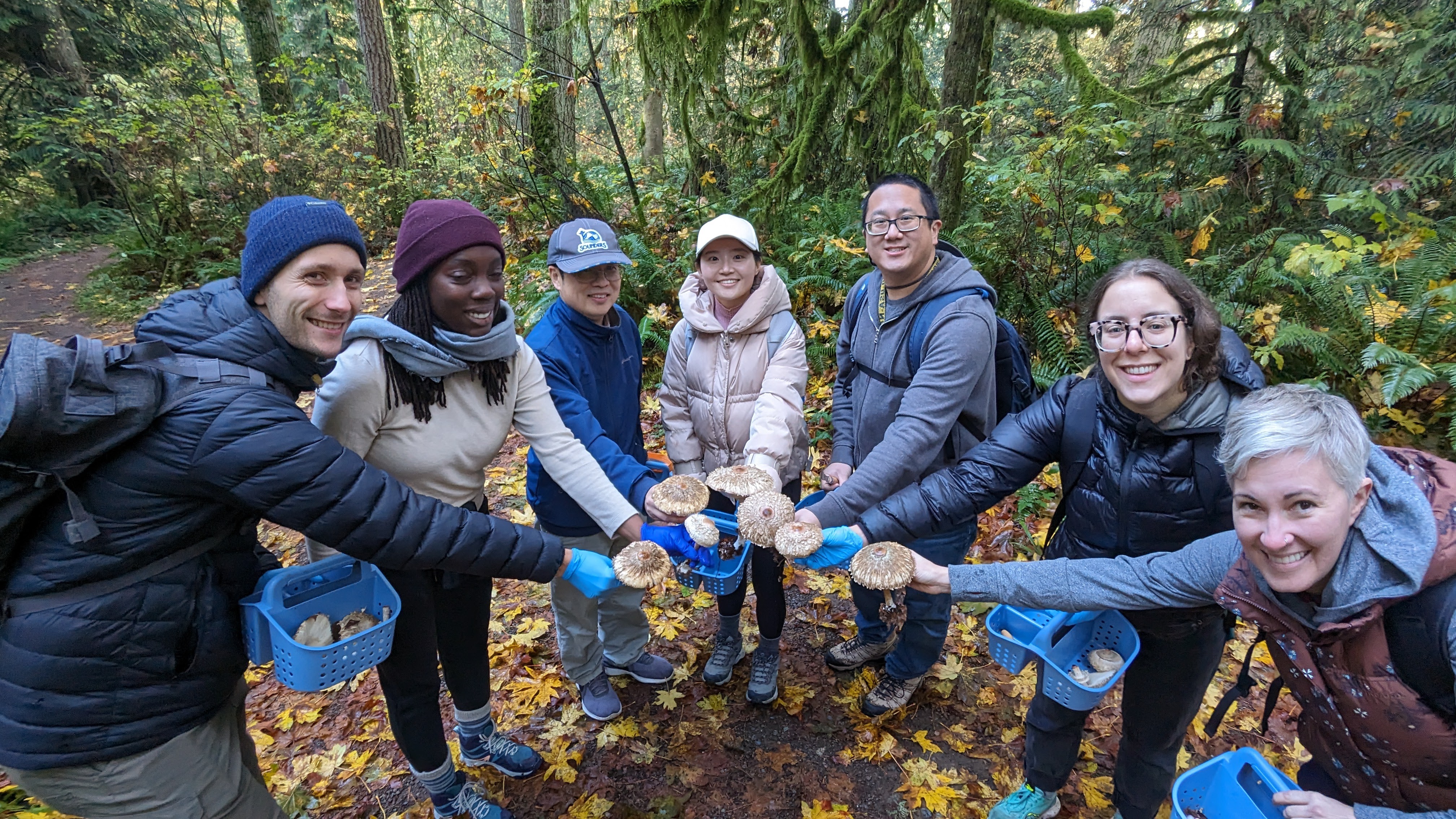 Group Members with Shaggy Parasols