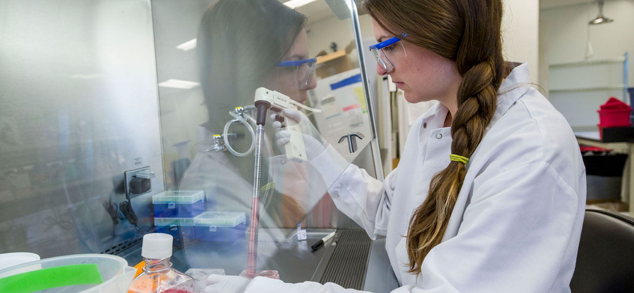 Join our Lab