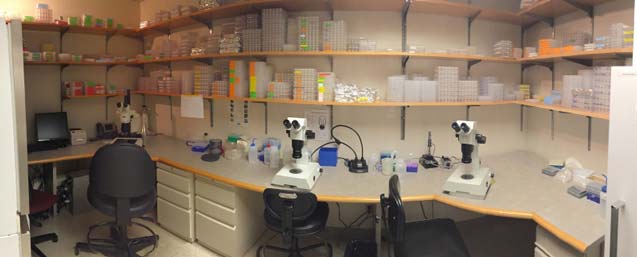 Lab Facilities